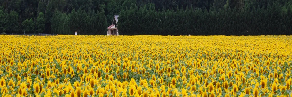 image-installation-borne-de-recharge-centre-val-de-loire.webp Image Installation borne de recharge Centre-Val de Loire