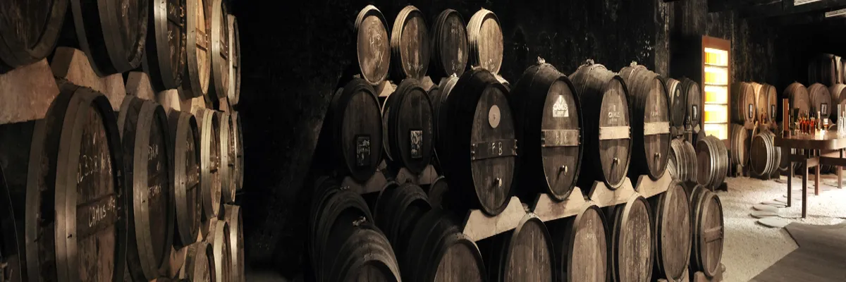 image-installation-borne-de-recharge-cognac.webp Image Installation borne de recharge Cognac