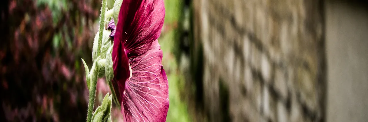 image-installation-borne-de-recharge-eragny.webp Image Installation borne de recharge Éragny
