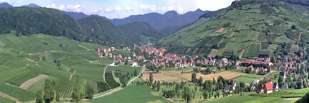 Image Installation borne de recharge Grand Est