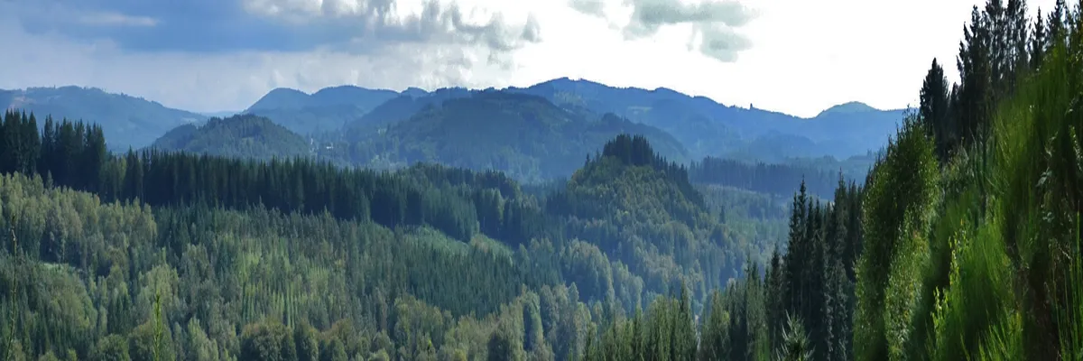 Image Installation borne de recharge Haute-Vienne