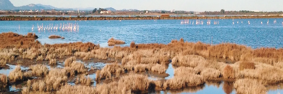 Image Installation borne de recharge Lattes
