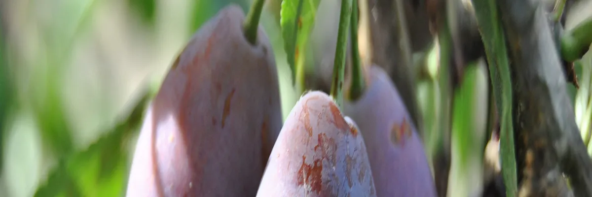 Image Installation borne de recharge Lot-et-Garonne