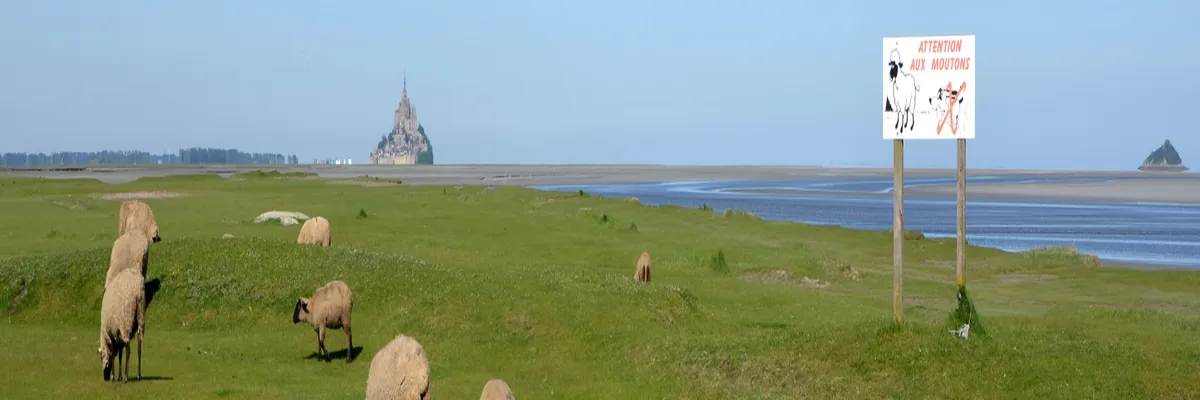 image-installation-borne-de-recharge-manche.webp Image Installation borne de recharge Manche