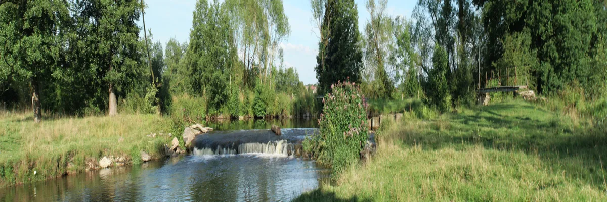 image-installation-borne-de-recharge-meurthe-et-moselle.webp Image Installation borne de recharge Meurthe-et-Moselle