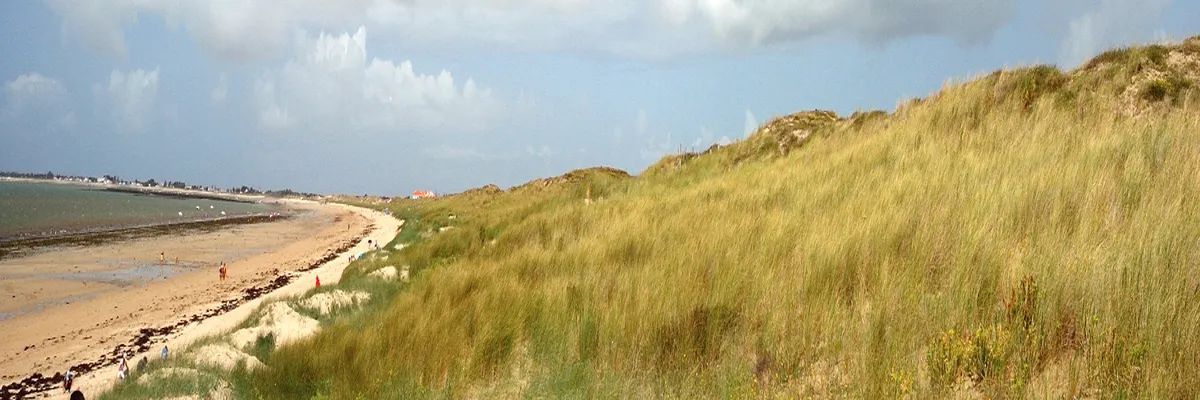 image-installation-borne-de-recharge-vendee.webp Image Installation borne de recharge Vendée